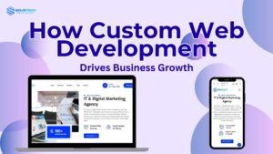 Custom web development solutions for business growth by SoloITech